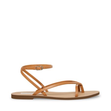 Brown Steve Madden Amuse Women's Flat Sandals | PH 4701KIZ